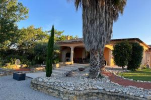 a palm tree in front of a house at LAcacia in Plaissan