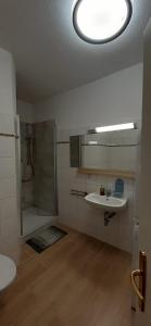 a bathroom with a shower and a sink and a mirror at Enjoy Goerlitz Augustastrasse in Görlitz