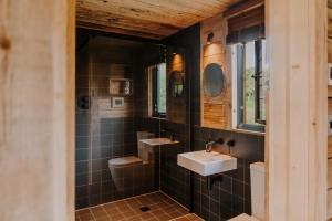 Un baño con lavabo, inodoro y espejo. en Woolly Wood Cabins - Bryn, en Llandrindod Wells 10 fotos más