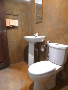 a bathroom with a white toilet and a sink at Silver Hill Ecovillage in Kurunegala