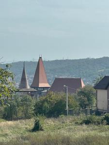 Galeriebild der Unterkunft CABANĀ TIP A LA 300 m De CASTEL in Hunedoara