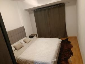 una camera da letto con un letto e un gatto stesi sul pavimento di Tree VI House a Roşu