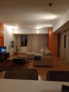 een woonkamer met een bank en een tv bij Tree VI House in Roşu