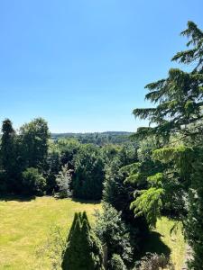 a view of a field with trees and grass at Ipsley Lodge Apartment Surrey Hills in Farnham