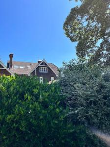 ファーナムにあるIpsley Lodge Apartment Surrey Hillsの木の葉を通して家が見える