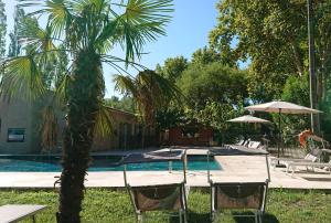 a palm tree sitting next to a swimming pool at Lodges & Nature - 47 in Avignon
