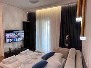 Hotelzimmer mit Sofa und TV in der Unterkunft Cherry DeLux 103 in Tirana