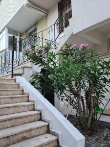 una rampa di scale che porta a una casa con fiori rosa di 4 floors 8 beds villa a Beylikdüzü