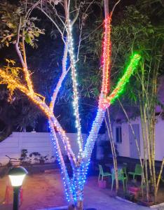 a tree decorated with christmas lights in a yard at The Well Beach side guest house in Auroville
