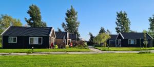 2-persoons luxe vakantiewoning في De Veenhoop: صف منازل في حي سكني