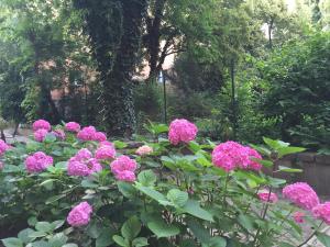 a bunch of pink flowers in a garden at Marxim Apartments in Budapest