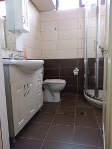 a bathroom with a toilet and a sink and a shower at Sermi's House in Shkodër +17 photos
