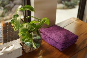 una mesa de madera con 2 plantas y una toalla púrpura en Lucca Resort & Residence, en Jepara