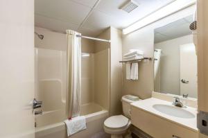 a bathroom with a toilet and a sink and a shower at Econo Lodge Inn & Suites Middletown - Winchester South in Middletown +19 photos