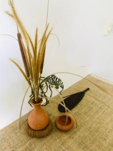 Fotografie z fotogalerie ubytování Bananas Mirissa v Mirisse (jih)