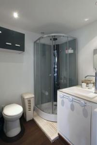 een badkamer met een douche, een toilet en een wastafel bij Belle maison de village sur theziers in Théziers