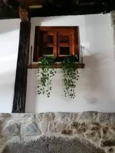 Ảnh trong thư viện ảnh của El invernal de Vilabela ở Espinama