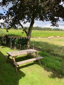 a picnic table sitting under a tree in a field at De Barg in Vinkenbuurt +10 photos