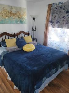 Un dormitorio con una cama azul con una almohada amarilla. en Cozy quiet place next to hwy smart tv+wifi+netflix, en Edmundston