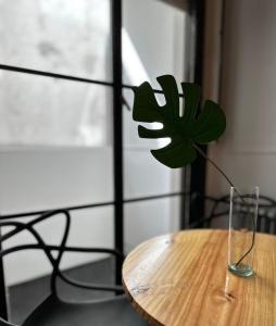 a green plant in a glass vase on a table at Hermoso departamento, en excelente ubicación. in Buenos Aires