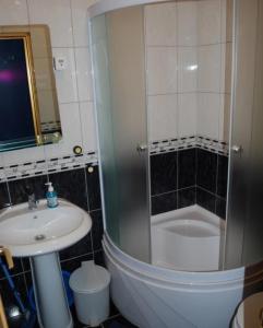 La salle de bains est pourvue d'une douche, d'un lavabo et d'une baignoire. dans l'établissement Apartman Bogdan, à Sokobanja