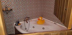 una bañera con un pato de goma sentado en ella en Hotel Cueva Tardienta Monegros-Adults Only, en Tardienta