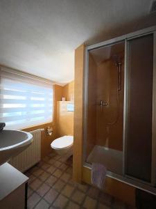 a bathroom with a shower and a toilet and a sink at Haus Gertraud in Oetz