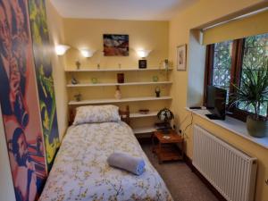 a bedroom with a bed and a tv and shelves at Sunnyside in Bristol