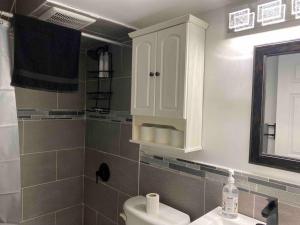 a bathroom with a sink and a white cabinet at 4 bedroom apartment on 75 acre farm in Tillsonburg