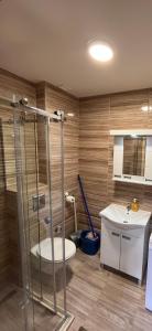 een badkamer met een douche, een toilet en een wastafel bij Apartman Vuk Zlatar in Brdo