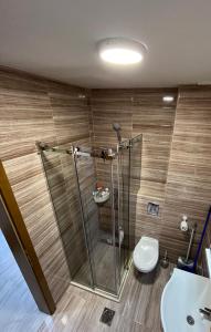 a bathroom with a shower and a toilet and a sink at Apartman Vuk Zlatar in Brdo