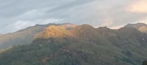 una vista de una montaña con árboles en ella en Ella Infinity View, en Ella