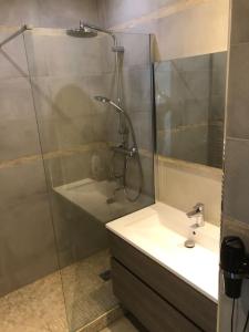 W łazience znajduje się prysznic i umywalka. w obiekcie Cosy 3 Pièces en face de la gare w mieście Rambouillet