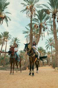 two people riding horses in front of palm trees at Villa Taouzert in Tozeur