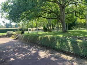 a path in a park with trees and grass at Longère du Perche in Montigny-le-Chartif