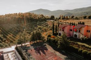 una vista aérea de una casa en un viñedo en Borgo San Pecoraio Resort, en Riparbella