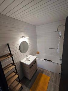 ein Badezimmer mit einem Waschbecken, einem Spiegel und einer Badewanne in der Unterkunft Chez Maxmandine in Givet