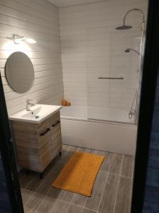 ein Bad mit einem Waschbecken und einer Dusche in der Unterkunft Chez Maxmandine in Givet