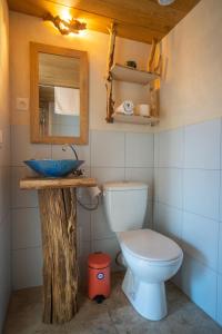 uma casa de banho com um WC e um lavatório em Lou Rey Éco Hameau - Gîte, Chambre d'Hôtes & Table d'Hôtes em Le Collet-de-Dèze