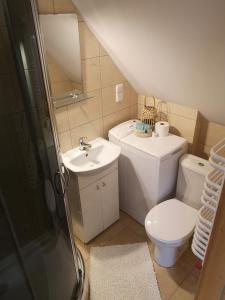 a small bathroom with a toilet and a sink at Apartament Stary Rynek in Stary Sącz