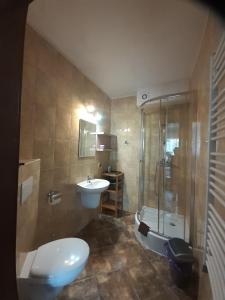 uma casa de banho com um WC, um lavatório e um chuveiro em Zielony Zakątek domki i pokoje 661-038-537 em Polańczyk