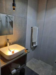 La salle de bains est pourvue d'un lavabo et d'une douche. dans l'établissement Villa Taouzert, à Tozeur
