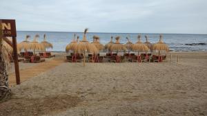 a group of straw umbrellas and chairs on a beach at Loft La Cala de Mijas beach estudio mirando al mar in La Cala de Mijas