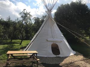 a teepee tent with a picnic table and a picnic bench at Glamping U Lesní víly in Záchlumí