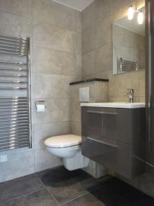 uma casa de banho com um WC, um lavatório e um espelho. em Magnifique appartement vue mer la turbie em La Turbie