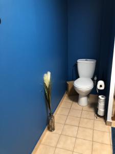 a bathroom with a toilet and a blue wall at chambre 24h du mans in Le Mans