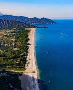 an aerial view of a beach and the ocean at Sedir Palas in Cıralı