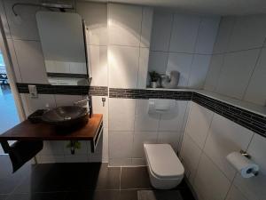 a bathroom with a sink and a toilet at Ferienwohnung Bad Säckingen in Bad Säckingen +13 photos