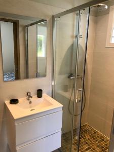 a bathroom with a sink and a shower at Villa Ti Alizés in Sainte-Luce