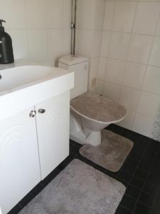 a bathroom with a white sink and a toilet at Sosa's villa. (Free Coffee, BBQ & Garden Fruits) in Turku